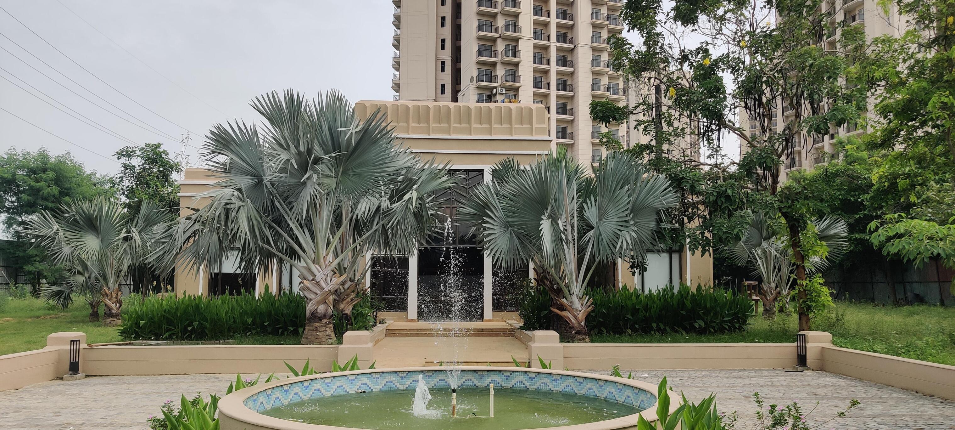 Exterior Area 1