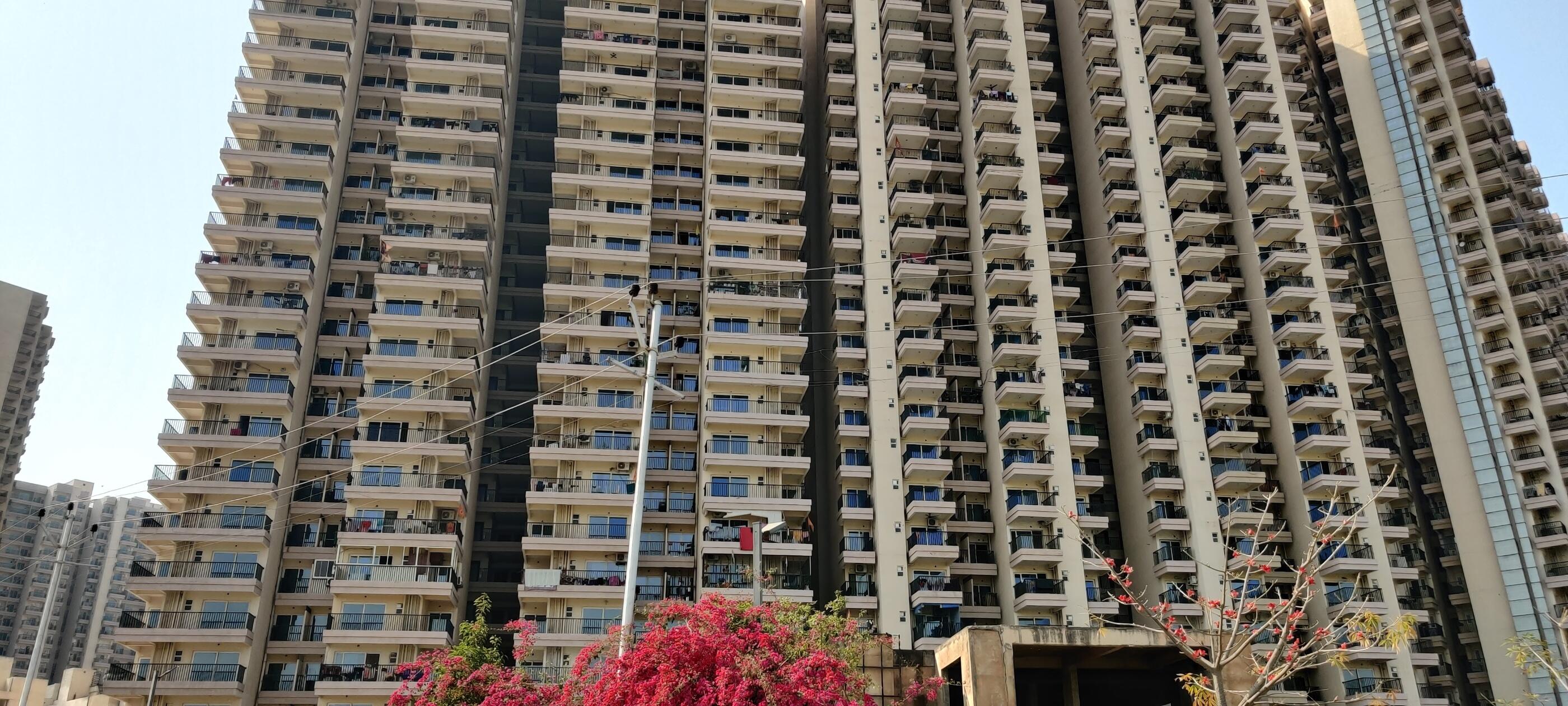 Exterior Perspectives 2